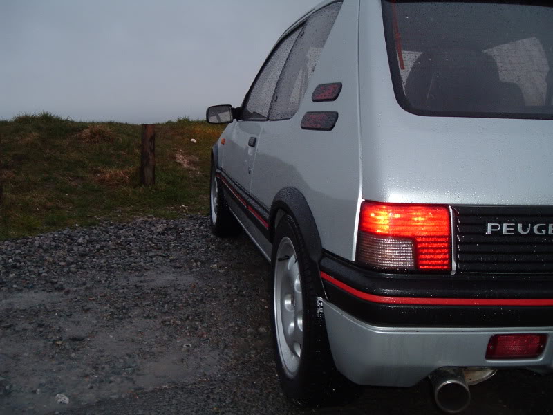 peugeotpictures037.JPG.37be86b48e0ed33d3b06175171606a45.JPG