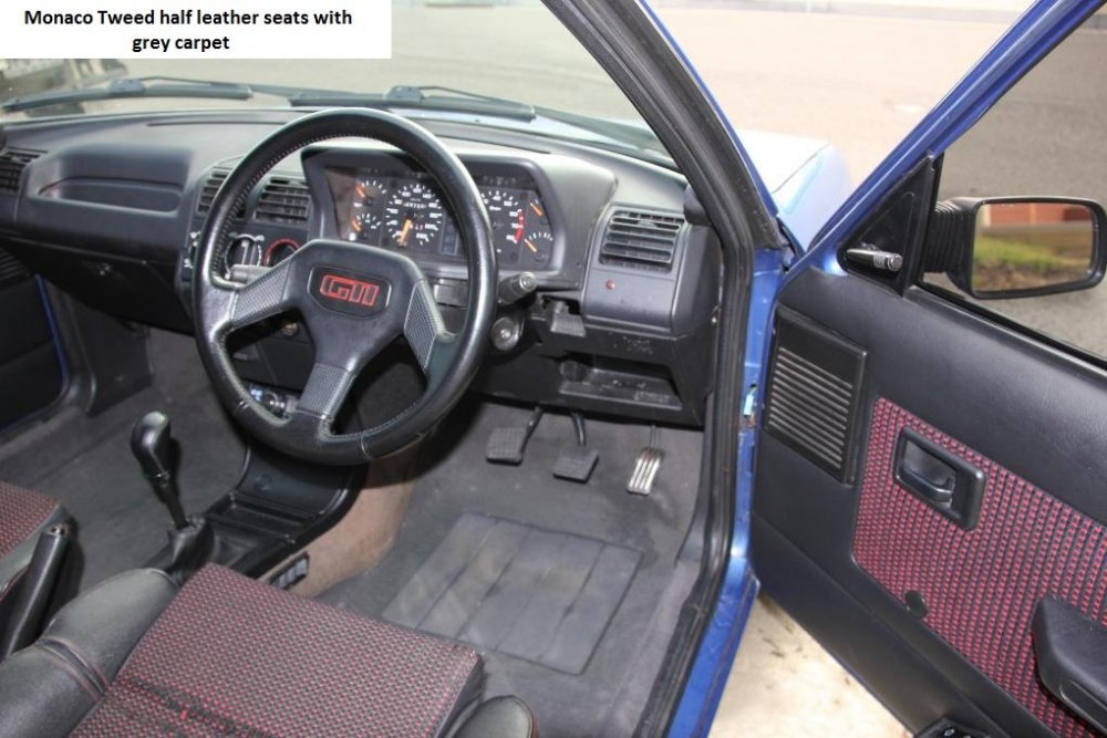 205 GTI interior monaco tweed trim.jpg