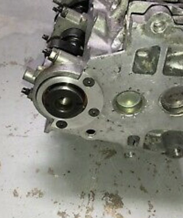 IMG_4283.jpeg