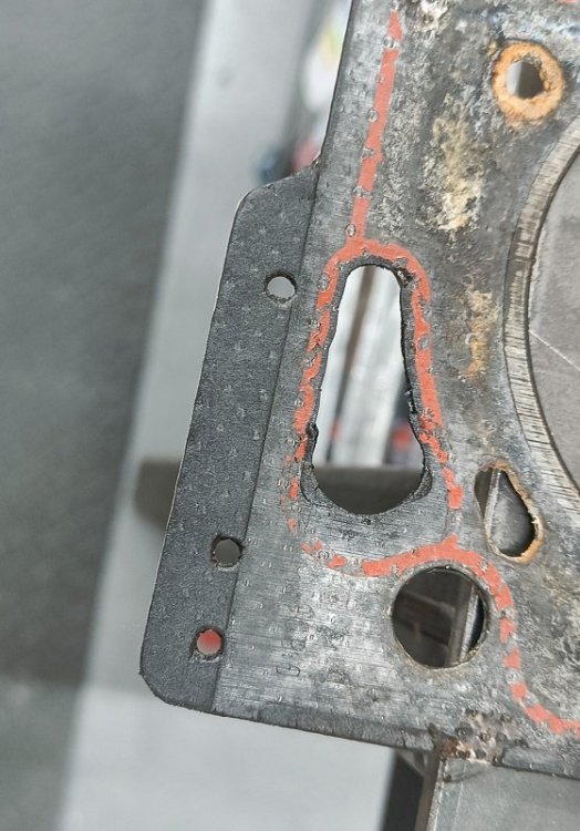 Head Gasket.jpg