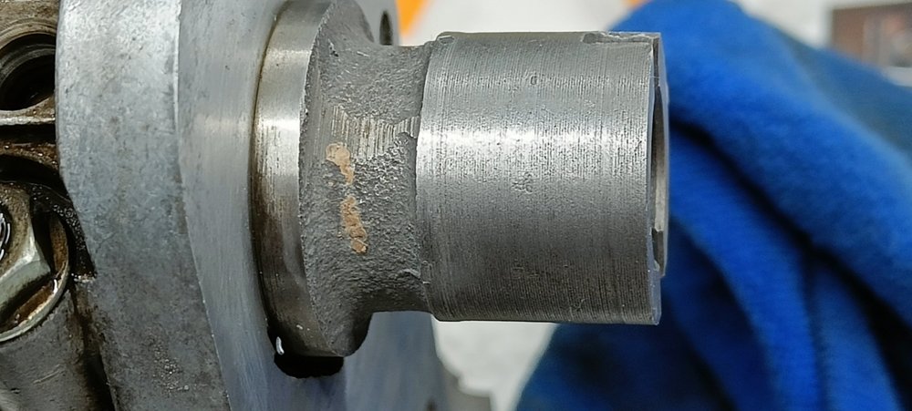 IMG20251109222336.jpg
