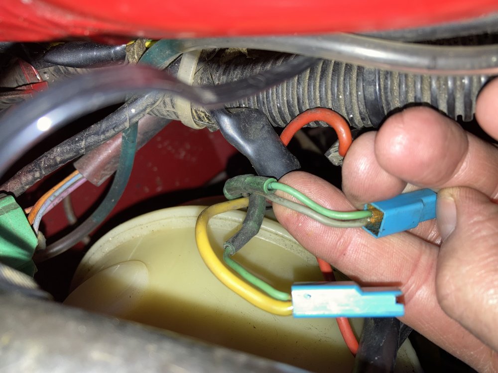 IMG_0910.jpeg